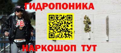стафф Заводоуковск