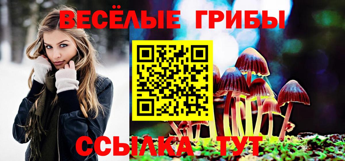 Псилоцибиновые грибы мухоморы  Галлюциногенные грибы мицелий  Курчатов  Вход с VPN 